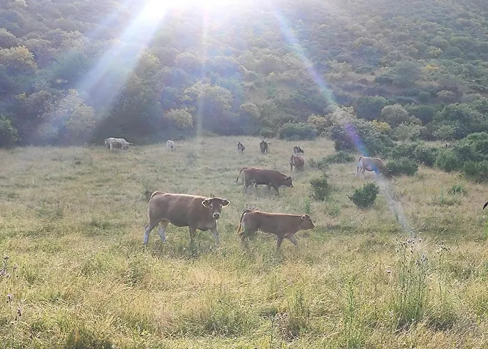 Casa Simon 세르베라데피수에르가