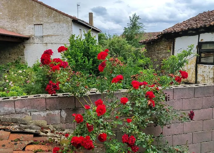 Casa Simon Casa di campagna Cervera De Pisuerga